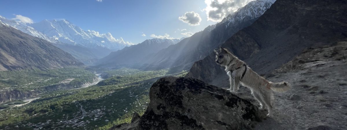 Gilgit, Hunza, Passu, Khunjerab.