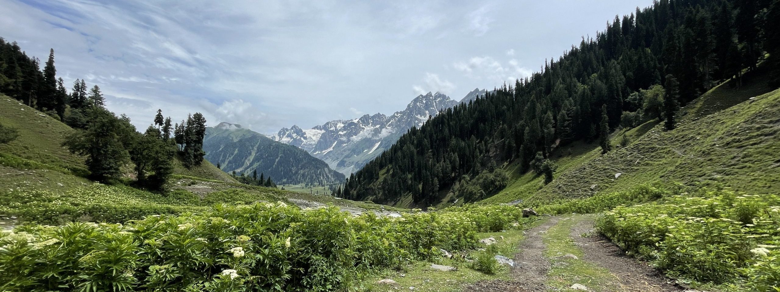 Wandern in Kashmir